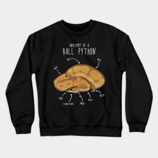 Anatomy of a Caramel Ball Python Crewneck Sweatshirt